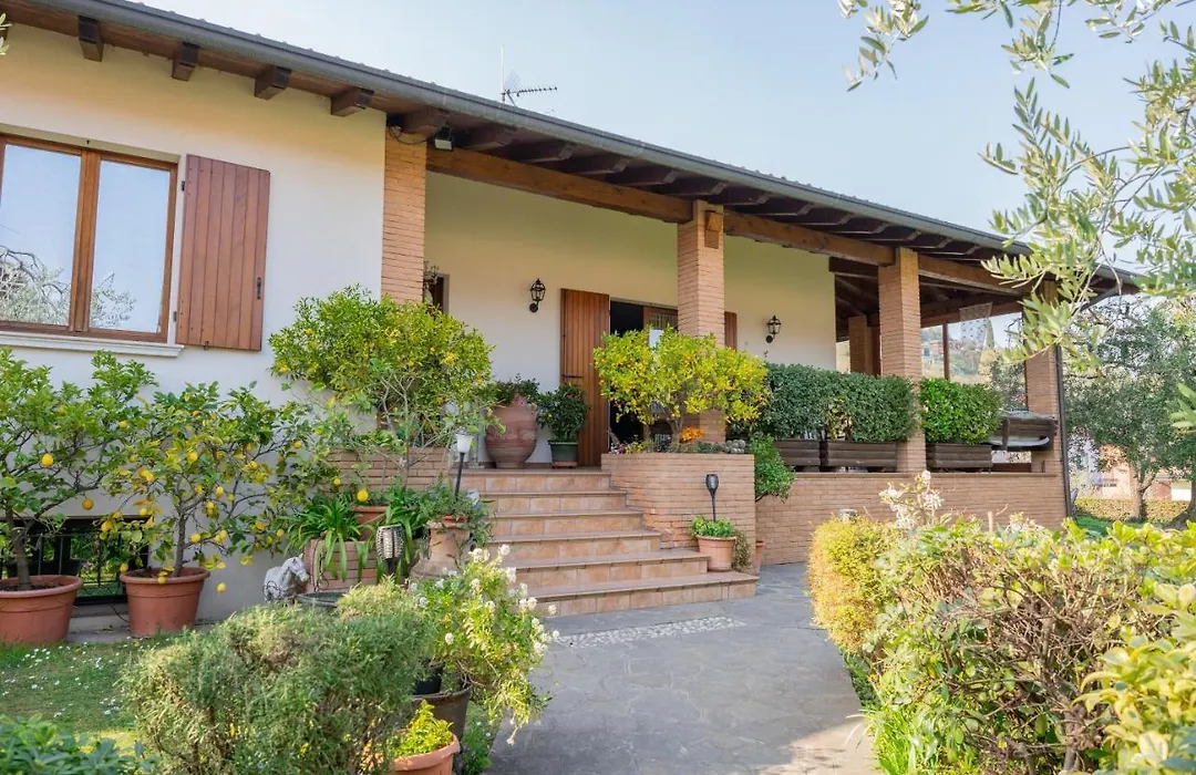 Ulivi B&B-1